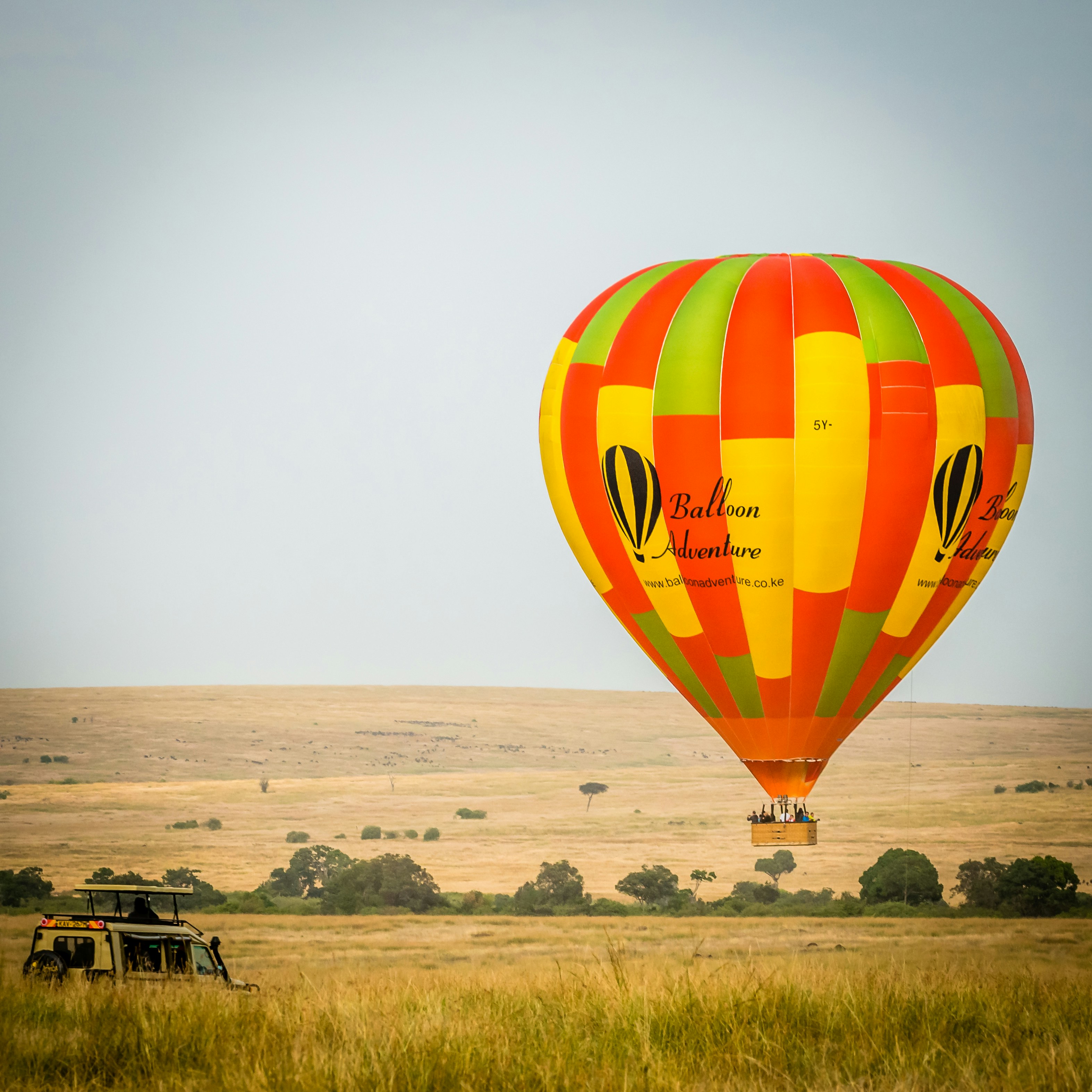 Hot air balloon