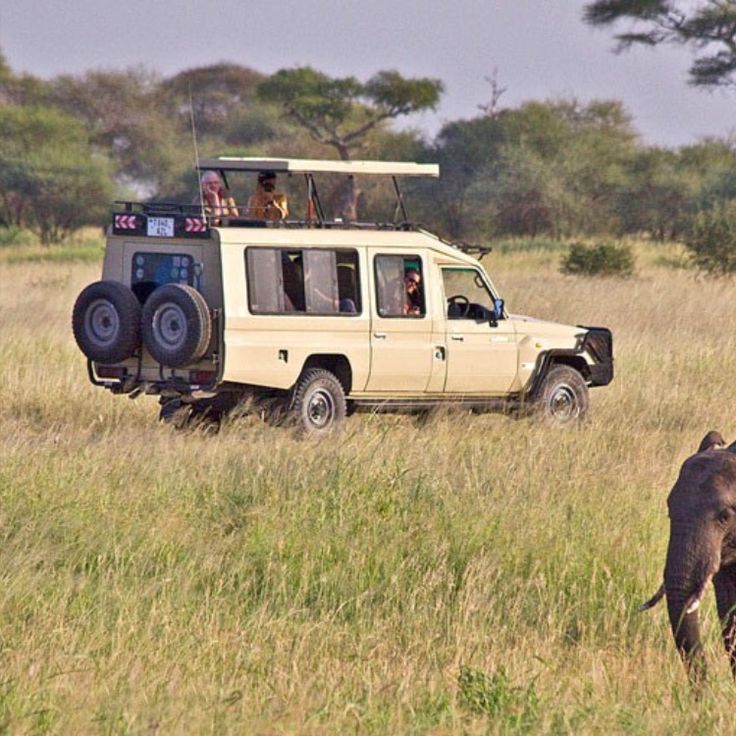 Maasai Mara landscape at sunrise